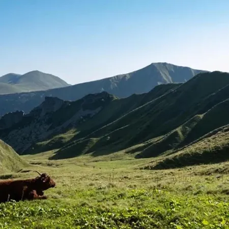 Au Petit Bonheur T2 4 Personnes * Le Mont-Dore