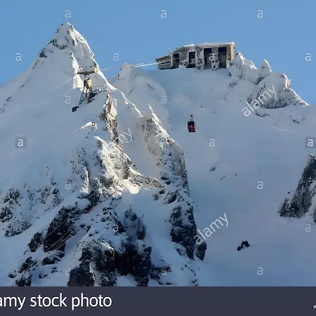 Au Petit Bonheur T2 4 Personnes Διαμέρισμα Le Mont-Dore