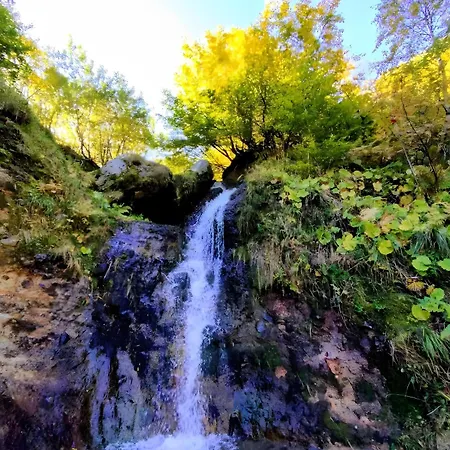 Apartment Au Petit Bonheur T2 4 Personnes *