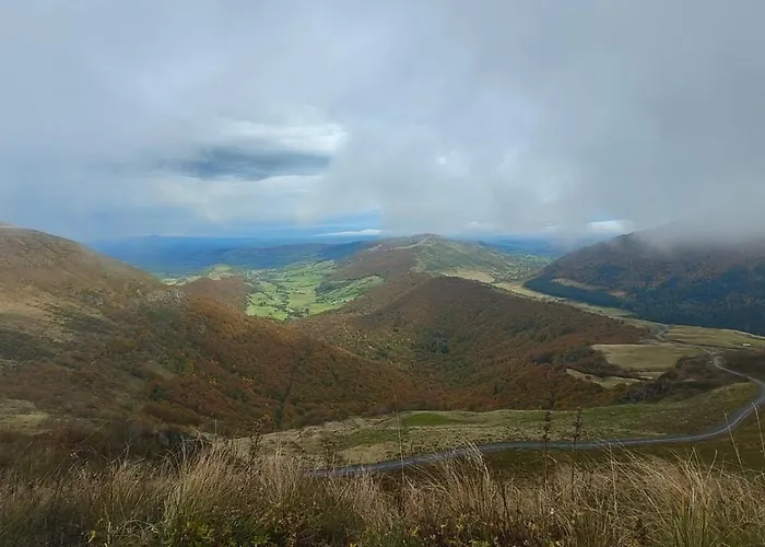 Au Petit Bonheur T2 4 Personnes Le Mont-Dore