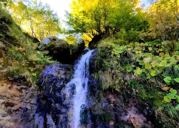 Apartment Au Petit Bonheur T2 4 Personnes *