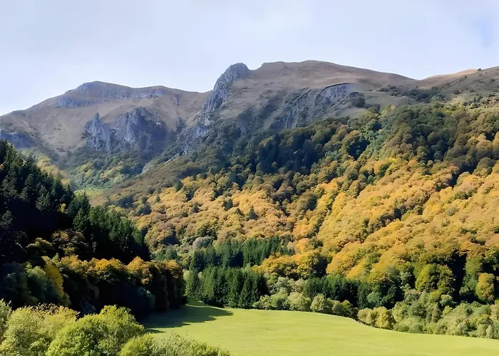 Apartment Au Petit Bonheur T2 4 Personnes Le Mont-Dore